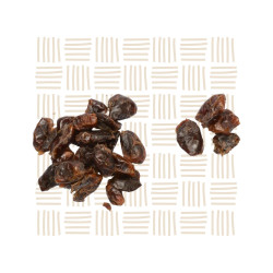 Pitted Dates 10kg – Bulk Dried Fruit South Africa