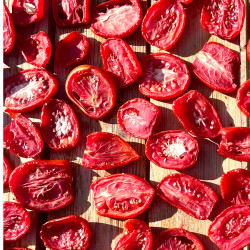 Sundried Tomatoes 5kg – Bulk Pantry Essential South Africa