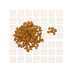 Chutney Corn 500g – Tangy Snack South Africa