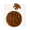 Raw Almonds 5kg – Bulk Healthy Nuts South Africa