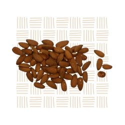 Roasted & Salted Almonds 5kg – Savoury Bulk Nuts South Africa