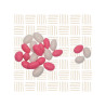 Pink & White Almonds 5kg | Candy-Coated Almonds Bulk SA