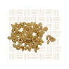 Roasted & Salted Cashews 500g | Crunchy Healthy Snack SA