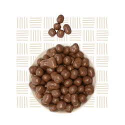 Choc Biscuits 4kg Bulk | Wholesale Treats South Africa