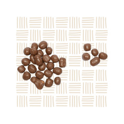 Choc Biscuits 4kg Bulk | Wholesale Treats South Africa