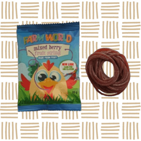Farmworld Single String Mixed Berry 20g | Healthy School Snack South Africa