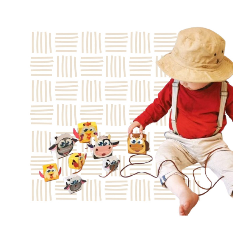 Farmworld Single String Strawberry 15g | Healthy Fruit Snack for Kids SA