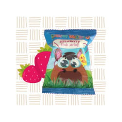 Farmworld Single String Strawberry 15g | Healthy Fruit Snack for Kids SA