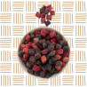 Mango & Berry Bites 250g | Fruity Healthy Snack South Africa