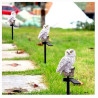 Solar Owl LED Garden Light | Waterproof Outdoor Décor